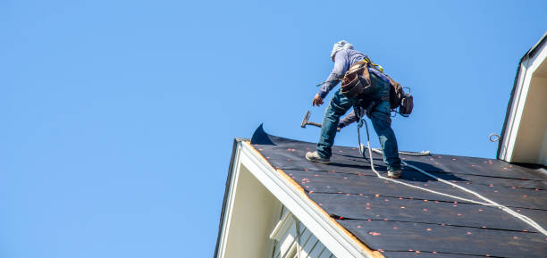 Roof Gutter Cleaning in Vinton, LA
